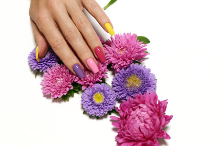 Beautiful female hand with pink nail polish manicure and aster flowersの写真素材