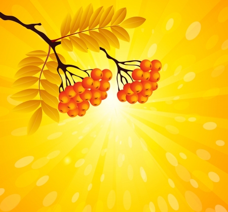 autumn backgroundのイラスト素材
