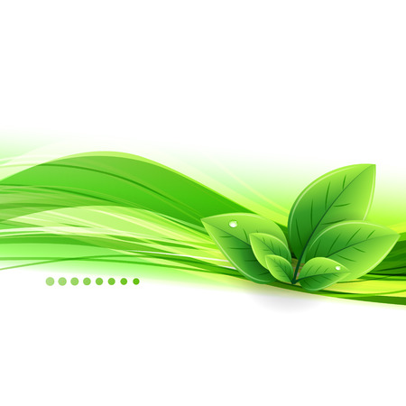 Vector Abstract nature background with green leavesのイラスト素材