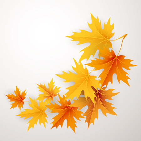 Autumn maples falling leaves background. Vector illustration.のイラスト素材