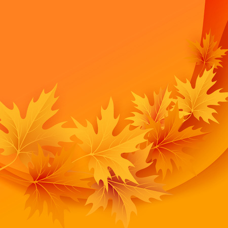Autumn maples falling leaves background. Vector illustration.のイラスト素材