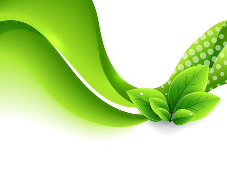 Vector eco leaves and green waveのイラスト素材