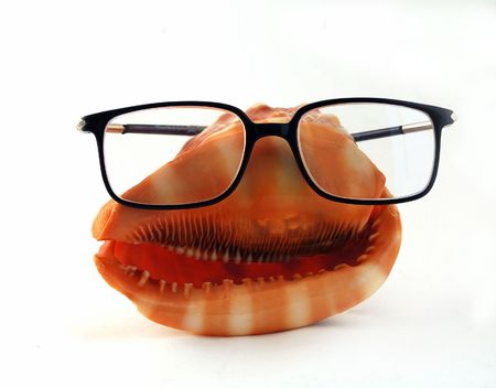 A face-like seashell in black eyeglasses の写真素材
