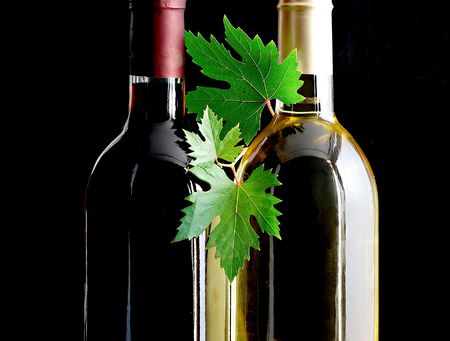 bottles of red and white wines with grape leafsの写真素材