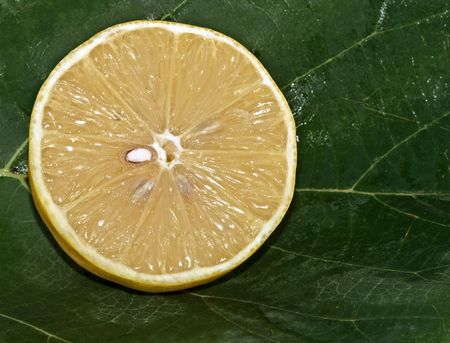 Section of lemon on a leafの写真素材
