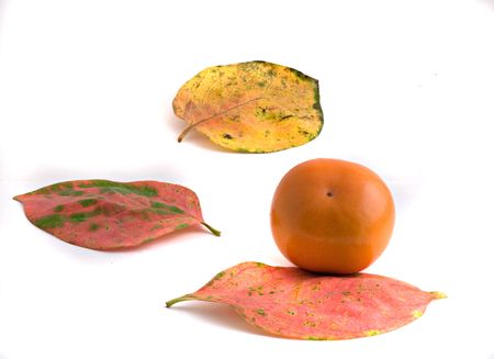 Persimmon and autumn  leaves isolated on white backgroundの写真素材