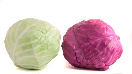 Red and common cabbages isolated on white backgroundの写真素材