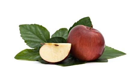 Apple and its peace on leavesの写真素材