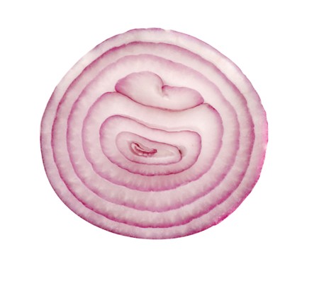 Section of onion isolated on white backgroundの写真素材
