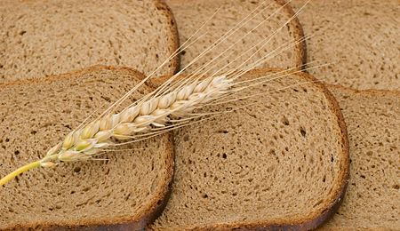 Wheat ear layng on slices of bread