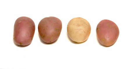 Four potatoes isolated on white backgroundの写真素材