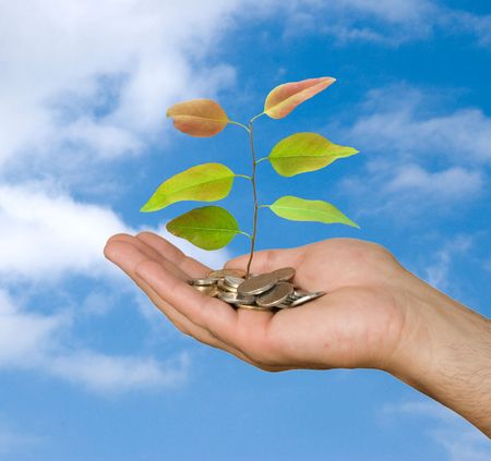 Hand with tree growing from pile of coins の写真素材