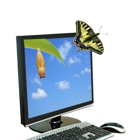 Swallowtail butterfly flying off LCD display の写真素材