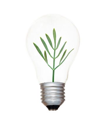 Incandescent light bulb with a tree shoot as the filament の写真素材