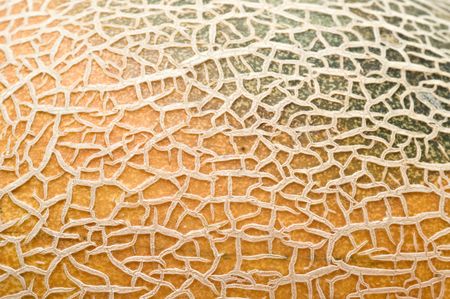 Close up of melon peelの写真素材