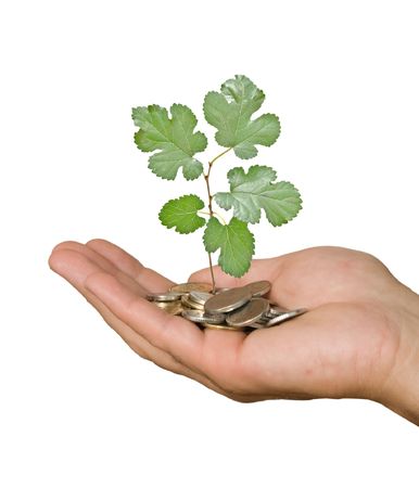 Hand with tree growing from pile of coins の写真素材