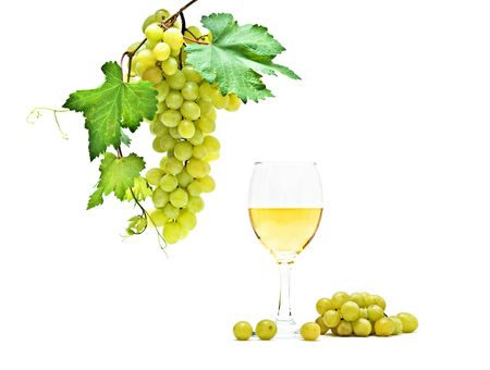 Goblet with wine and grapevine isolated on white background の写真素材