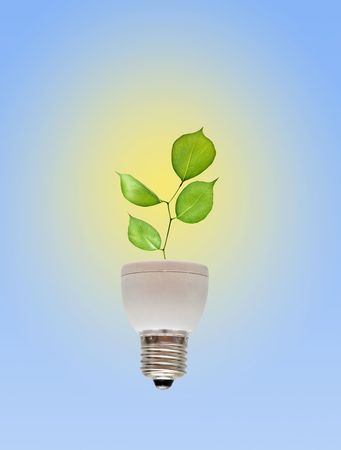 Tree shoot growing from base of flourescent lampの写真素材