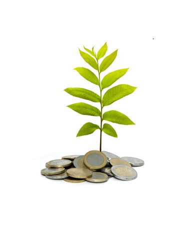 Tree growing from pile of coinsの写真素材