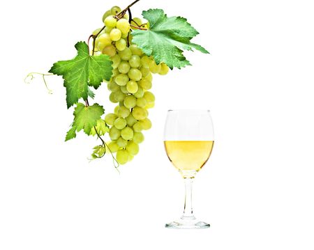 Goblet with wine and grapevine isolated on white background の写真素材