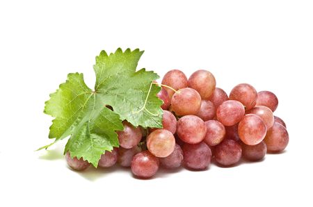 Grapevine isolated on white backgroundの写真素材
