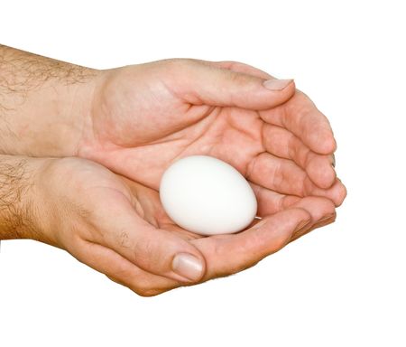 Egg in protective palmsの写真素材