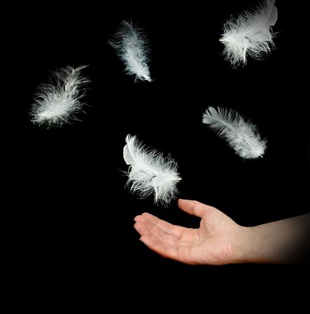 Close up of white feathers falling to handの写真素材
