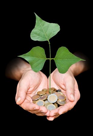 Hand with tree growing from pile of coins の写真素材