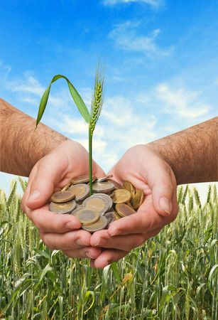 wheat as a gift of agricultureの写真素材