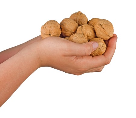 Hands with walnuts