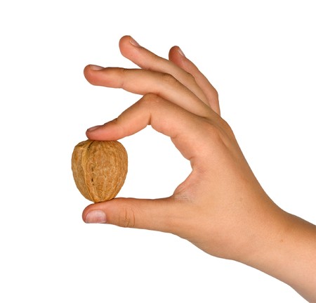 Hand with walnutの写真素材