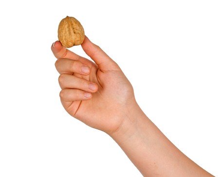 Hand with walnutの写真素材