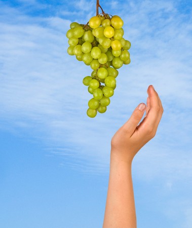 Grapevineの写真素材