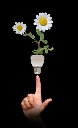 Flower growing from base of a lampの写真素材