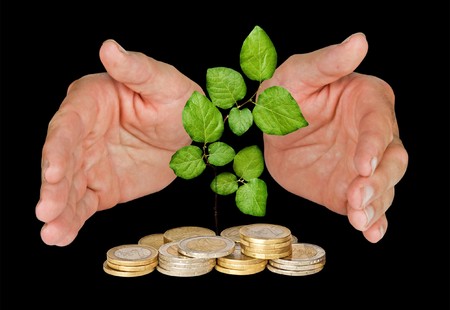 Hands protecting tree growing from pile of coinsの写真素材