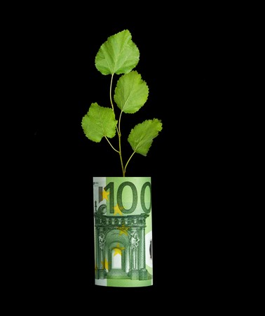 Tree growing from euro billの写真素材