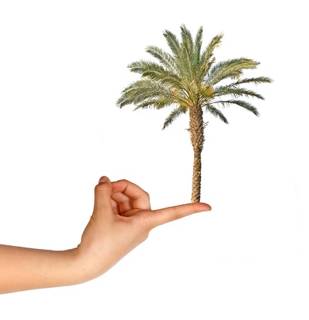 Palm on fingerの写真素材