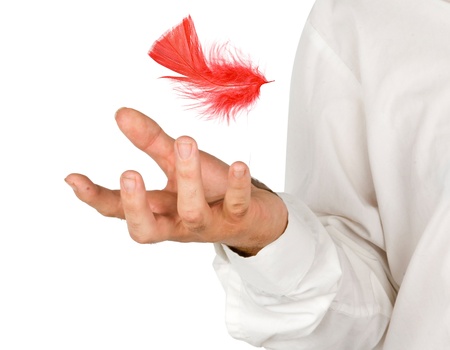 Fearther falling to handの写真素材