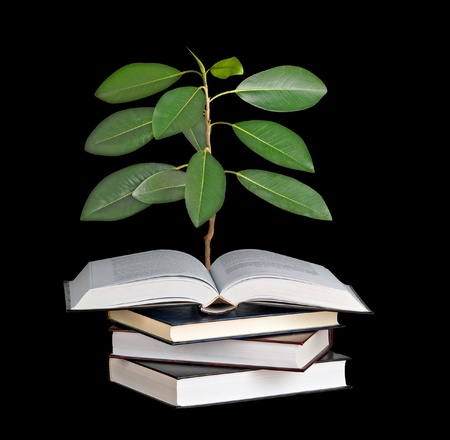 Tree growing from book