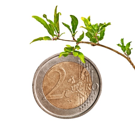 Euro as a fruit on branch