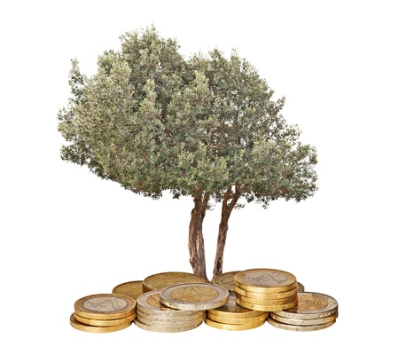Olive tree growing from pile of coins                 の写真素材
