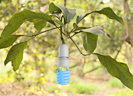 Symbol of green energy