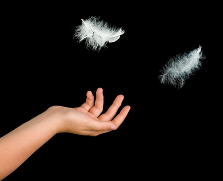 Close up of white feathers falling to handの写真素材