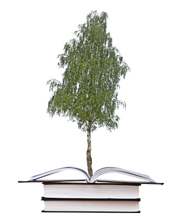 tree growing from bookの写真素材