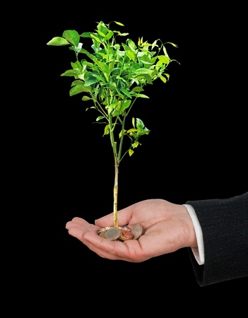 Investment to agricultureの写真素材
