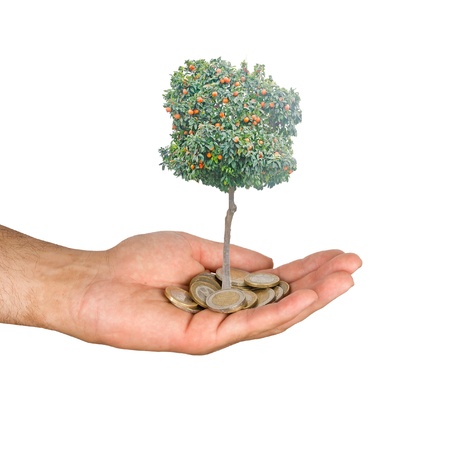 Orange tree in handsの写真素材