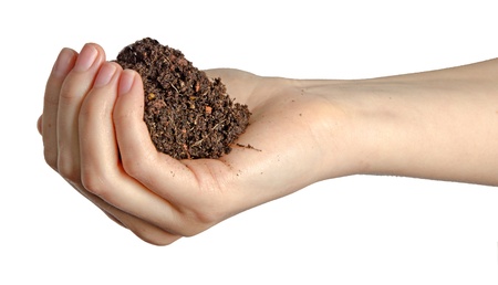 Hands with soilの写真素材