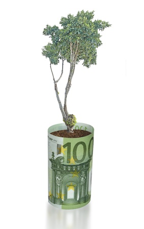 tree growing from euro billの写真素材