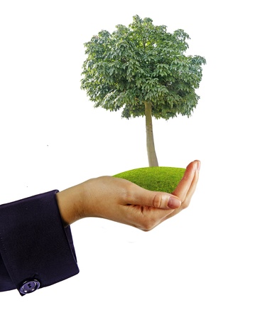 tree in handの写真素材