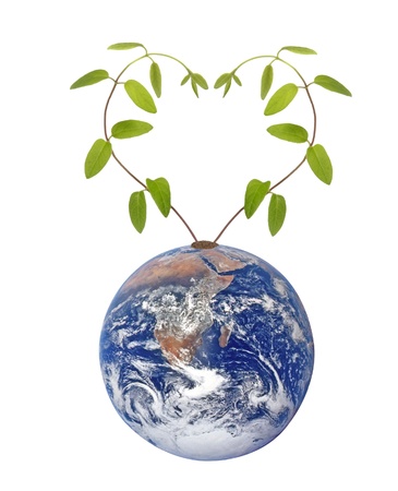Green love  Elements of this image furnished の写真素材